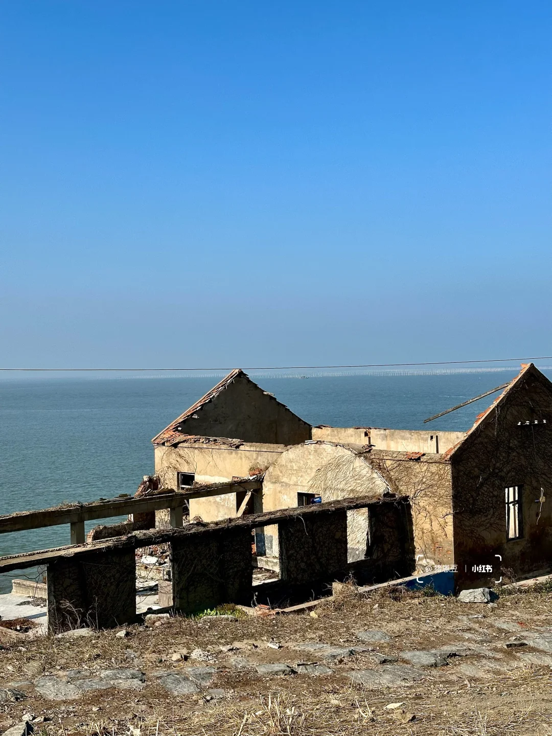 12🈷️！冬天的连云港！怎么玩！怎么吃！