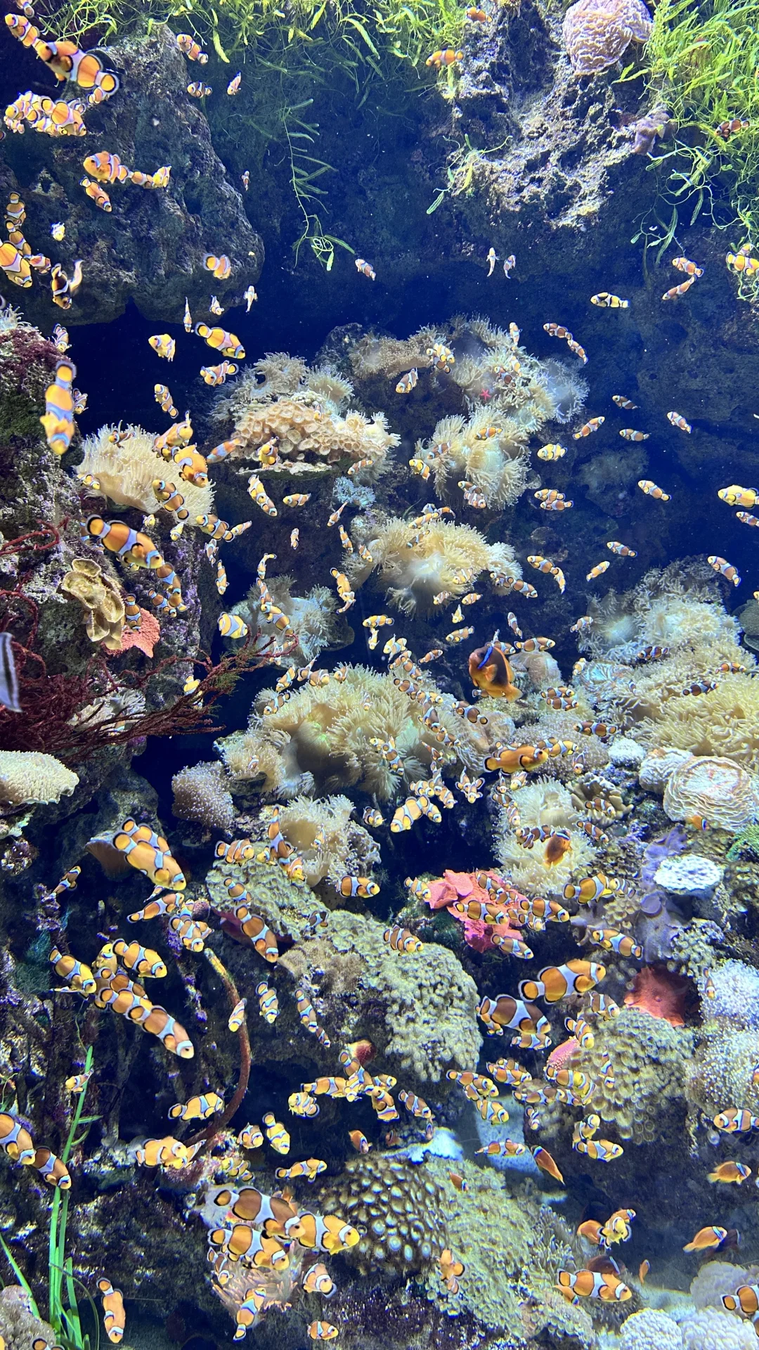 2岁娃长隆飞船乐园,随性游~