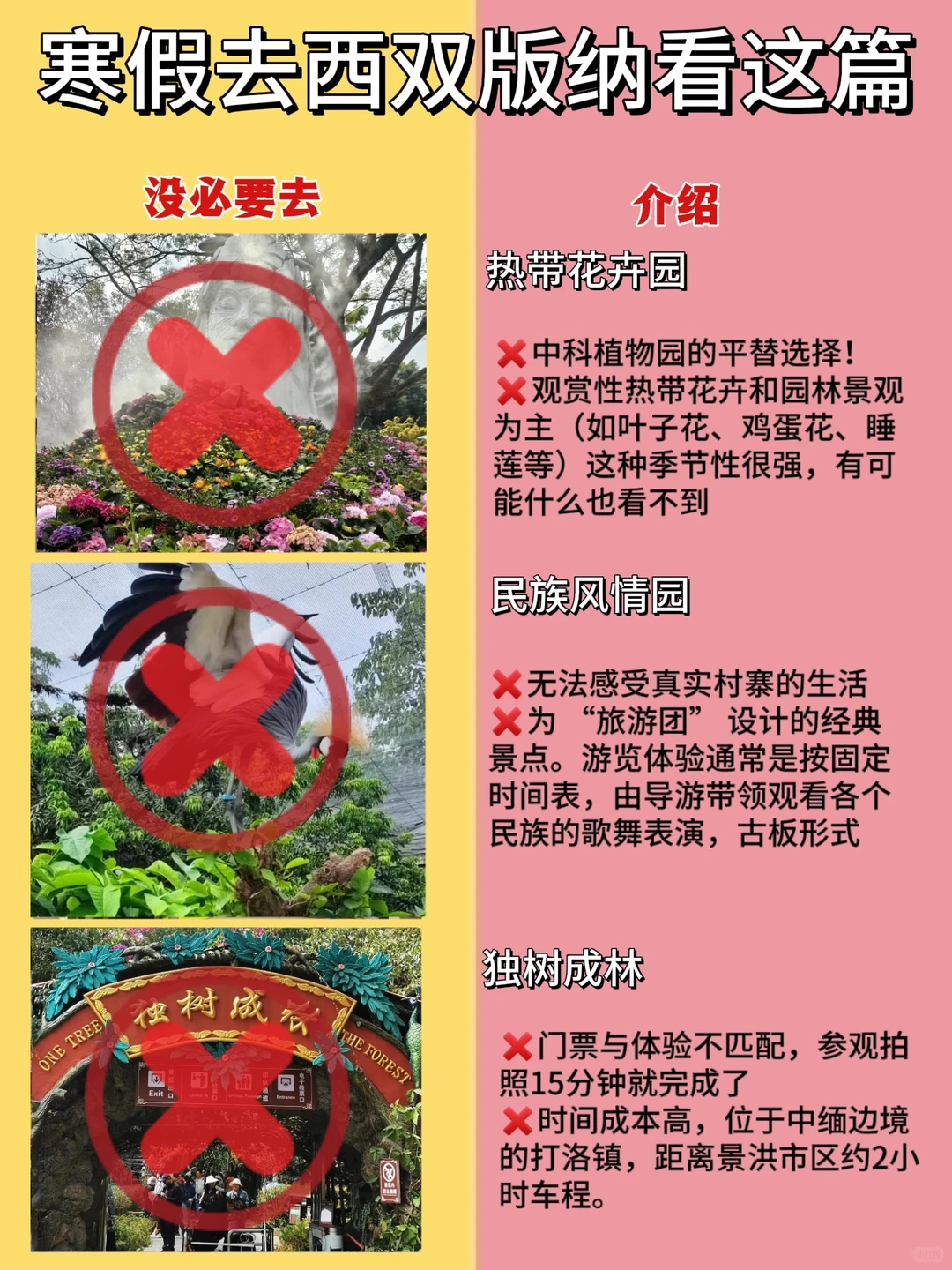 本地人悉心整理的西双版纳打卡景点‼️