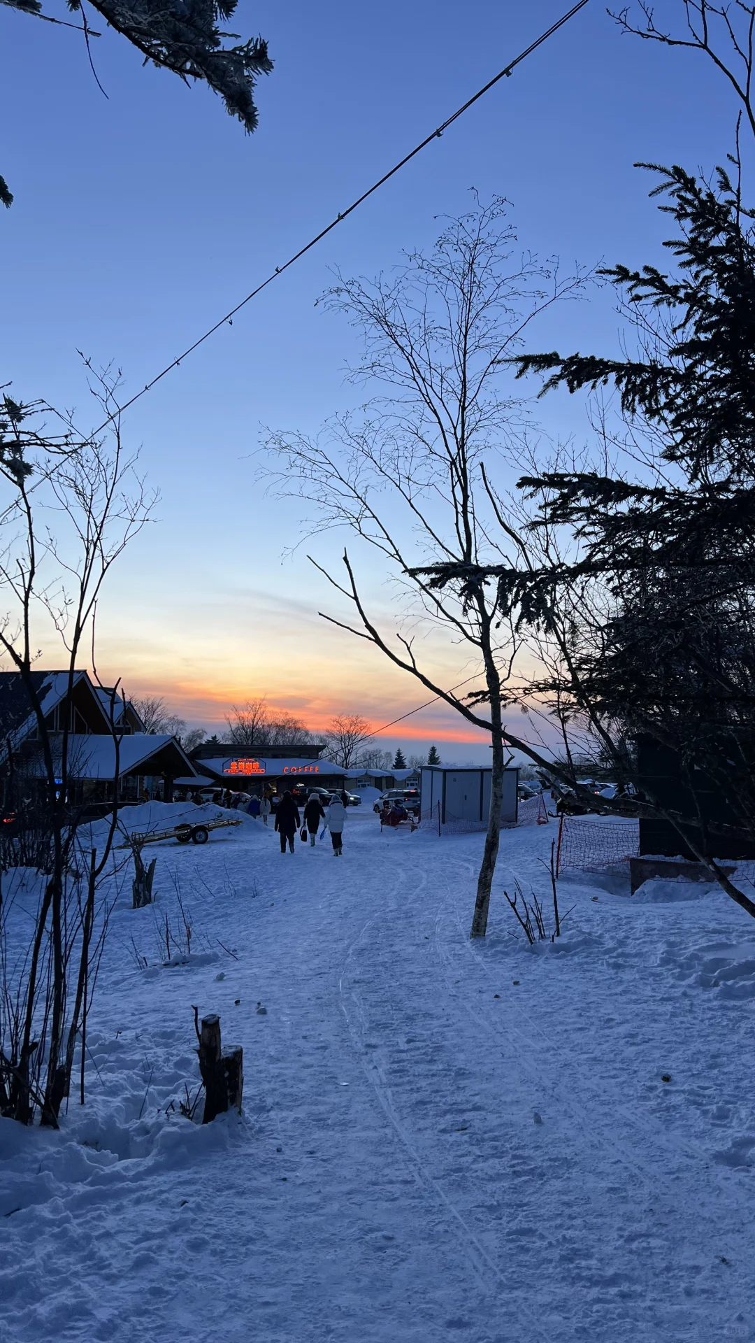 来雪岭玩千万别坐雪地摩托和马拉爬犁!!