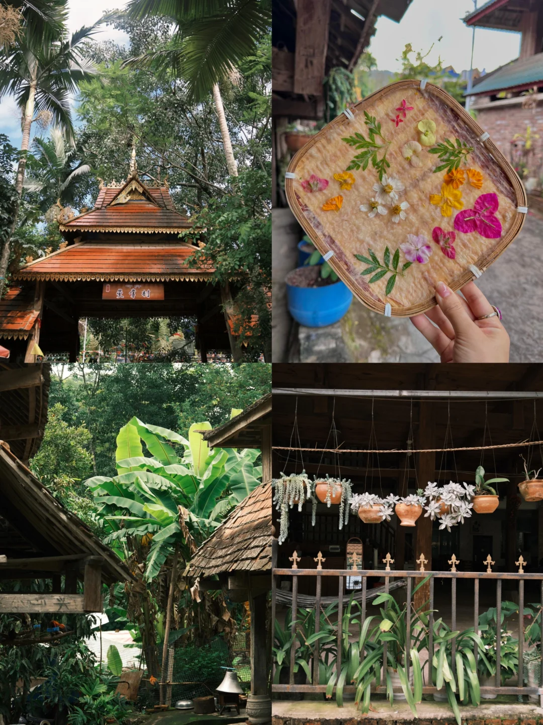 冬天适合带小朋友去的5个超棒城市带娃不踩