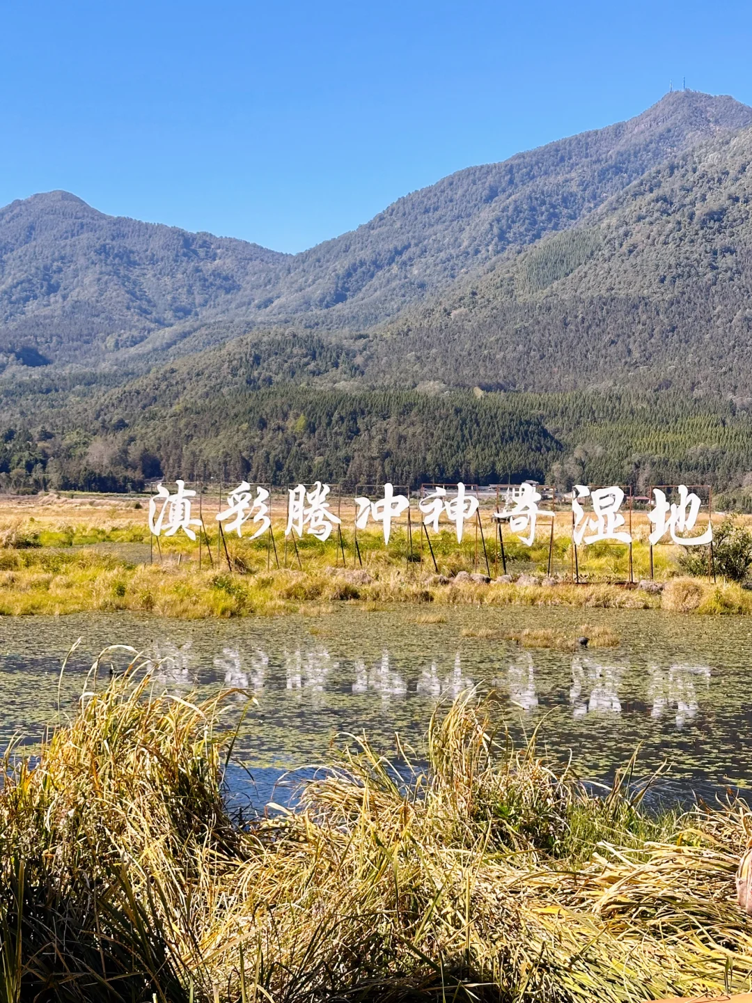 我们都喜欢玩不一样的地形 | 腾冲北海湿地