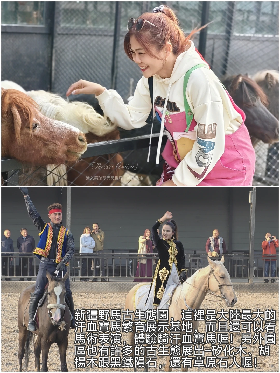 新疆烏魯木齊旅遊攻略