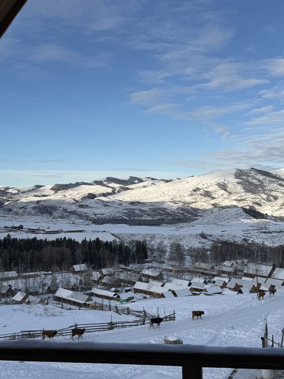阿勒泰四天三晚旅行攻略 | 禾木&白哈巴☃️