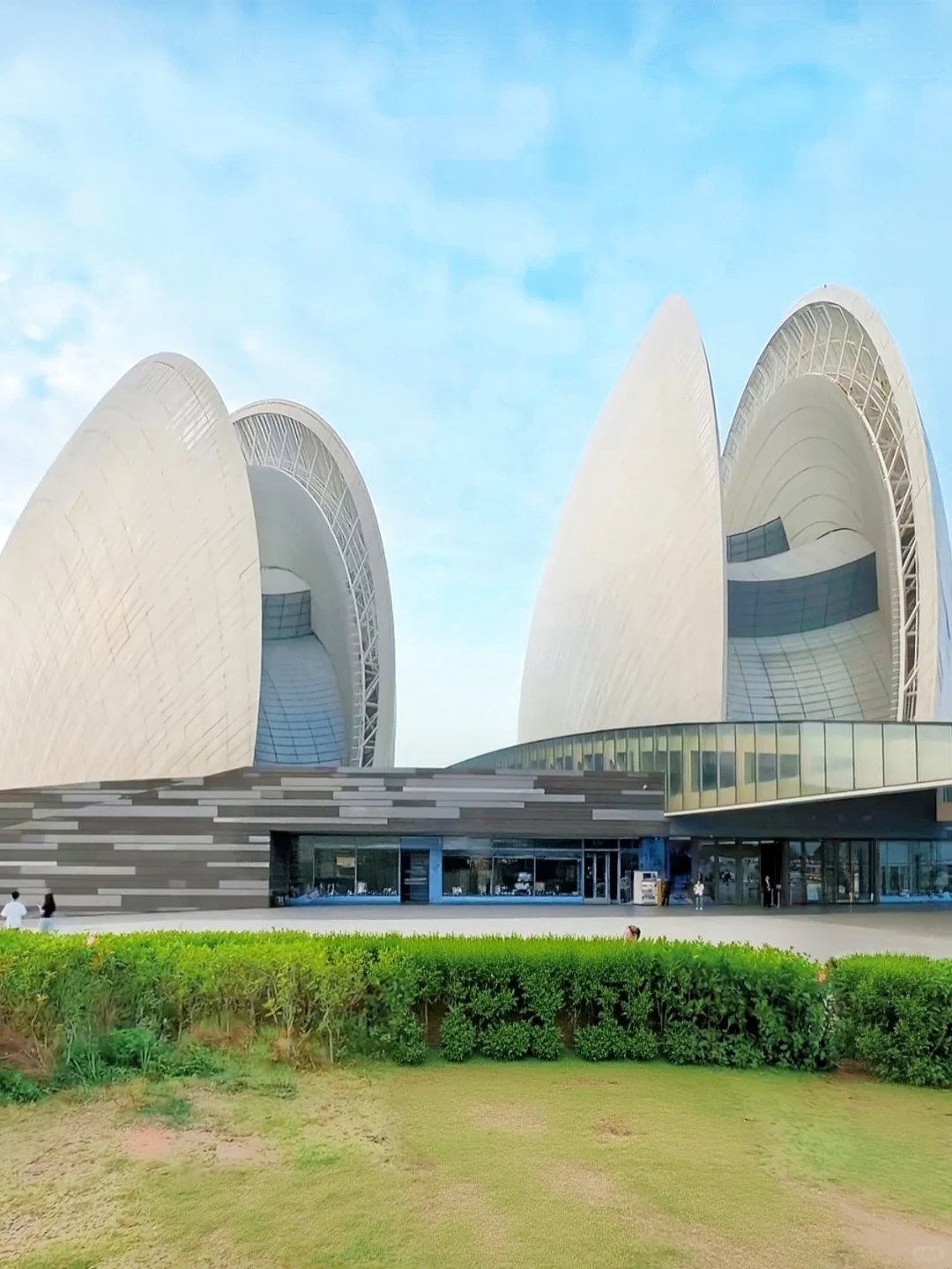 港澳珠3日跟团❗人均700纯玩无坑❗懒人闭眼