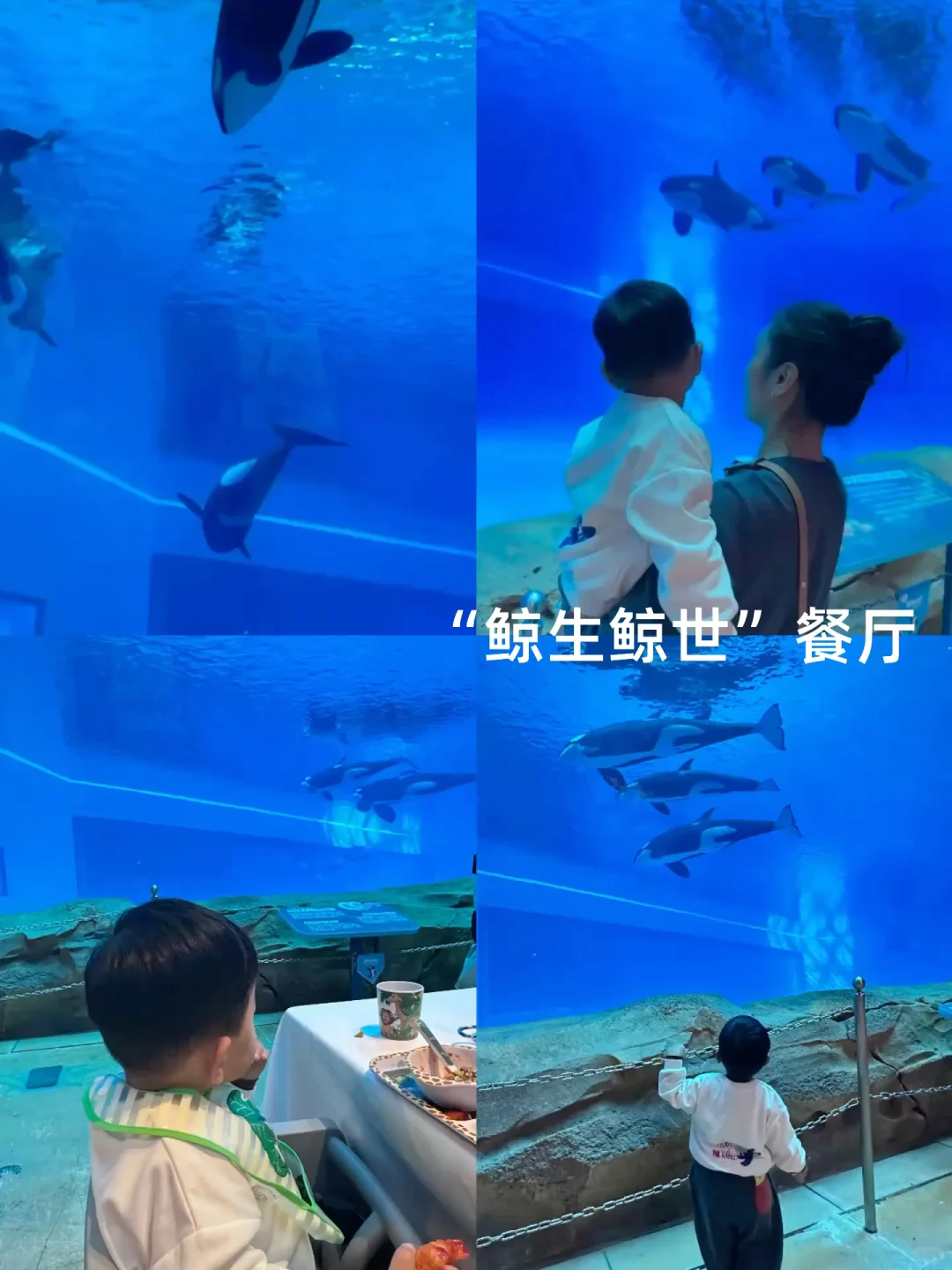 2岁娃长隆飞船乐园,随性游~