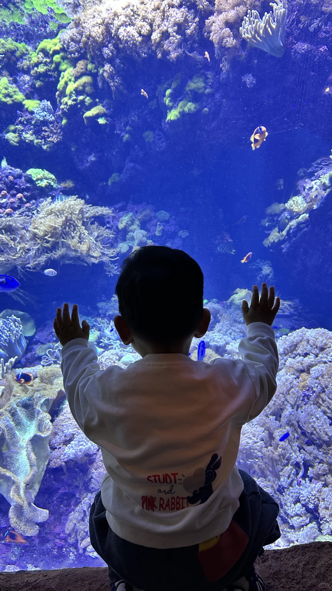 2岁娃长隆飞船乐园,随性游~