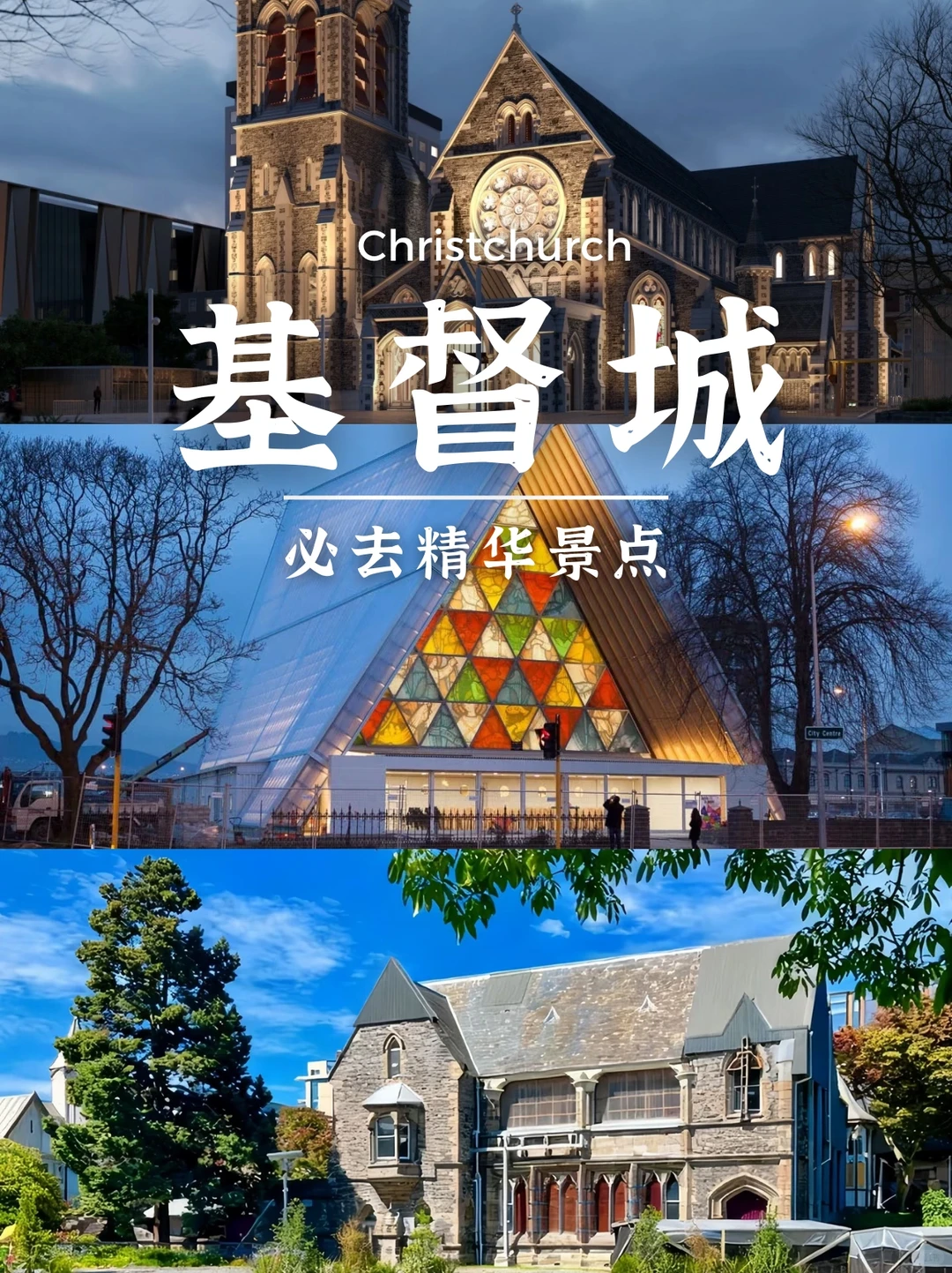 新西兰南岛8天保姆级攻略❗照着玩不绕路✨