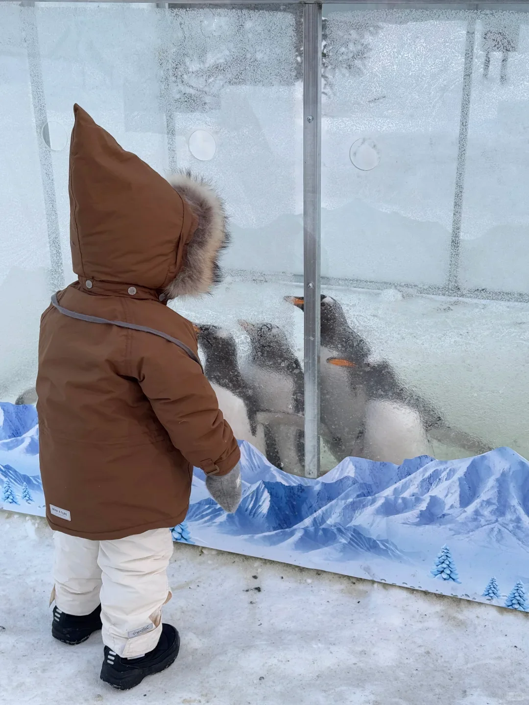 长白山亲子定制游✨冬日纯玩度假之旅
