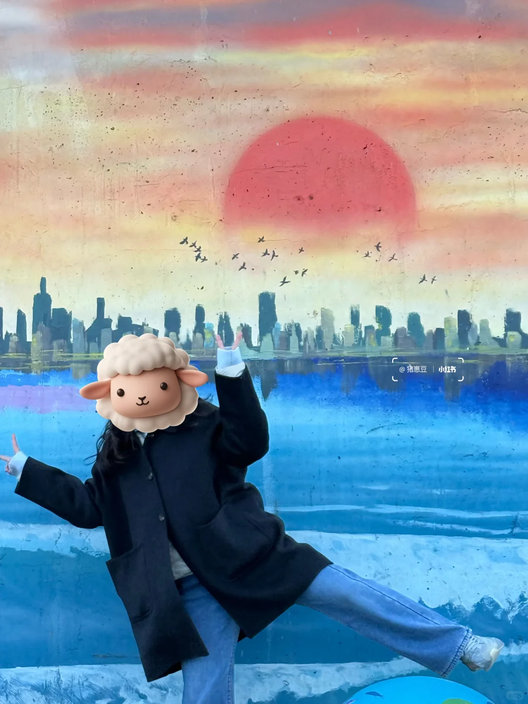 12🈷️！冬天的连云港！怎么玩！怎么吃！