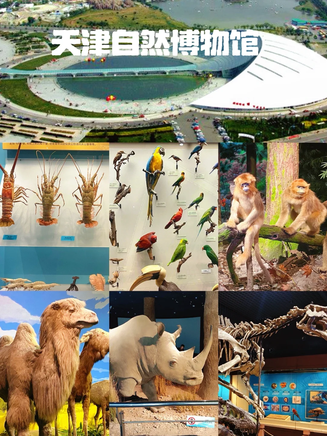 【十大必逛博物馆】🌟带娃必看!暑假旅游必去