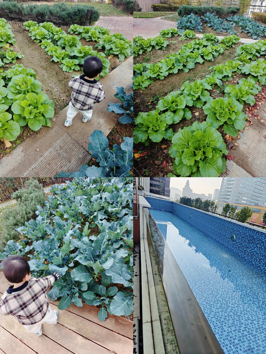 反向旅游｜带娃住进自己城市的酒店