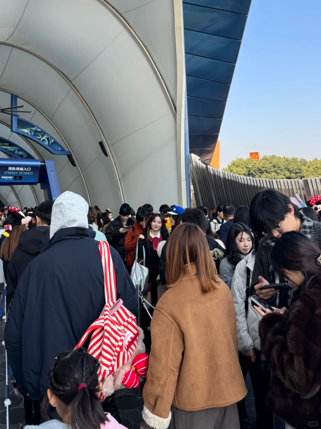 上海迪士尼项目排队小技巧（中高客流必用）