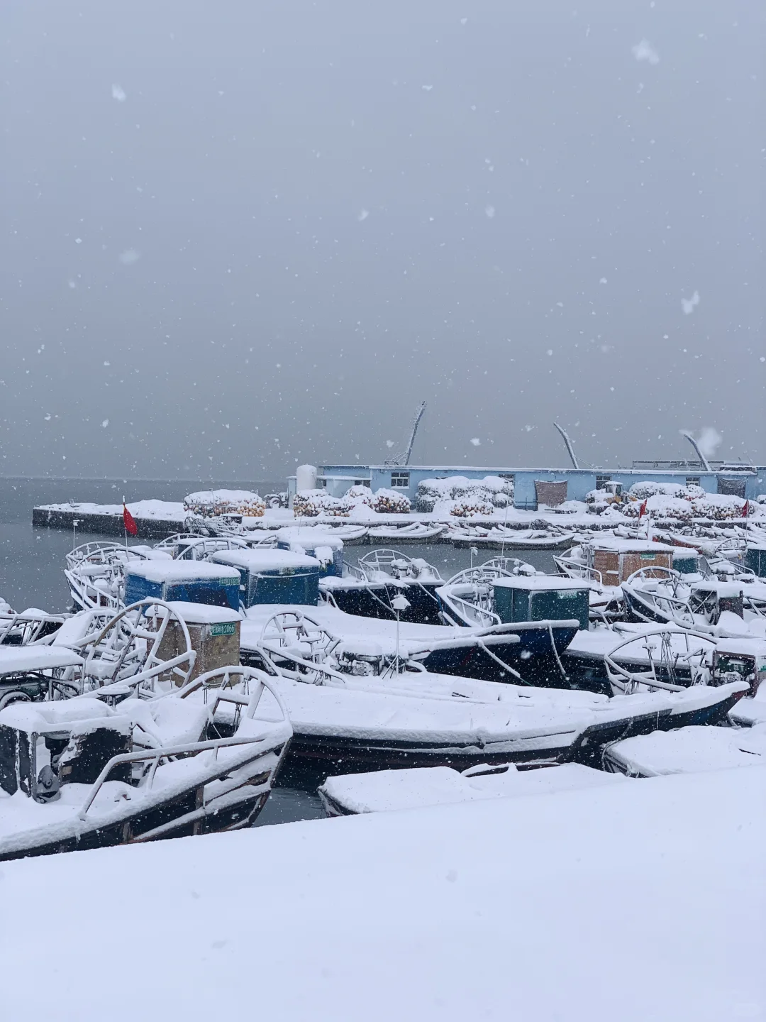 12.3威海实况，雪后的天鹅湖美得像童话❄️