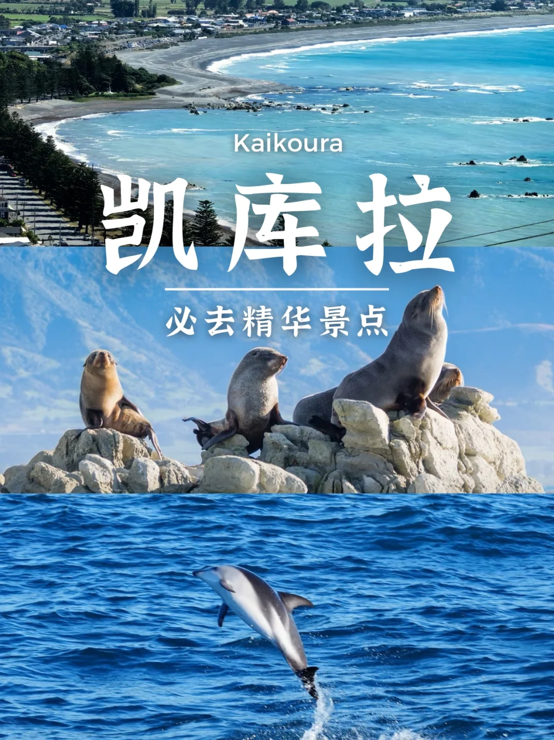 新西兰南岛8天保姆级攻略❗照着玩不绕路✨