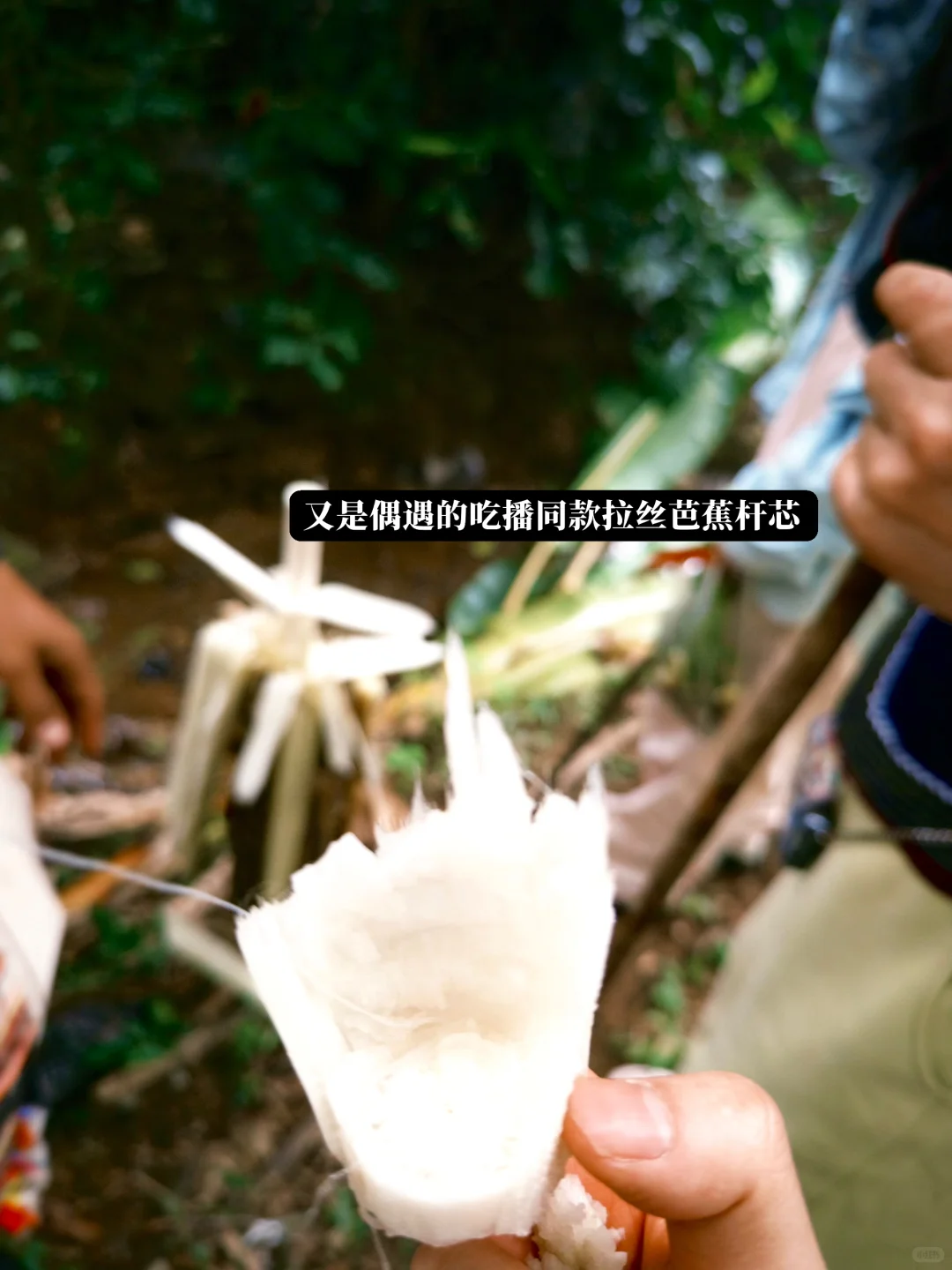 本地人带玩就是景迈山最好的体验方式