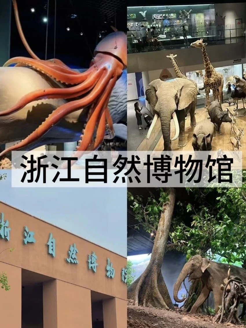 安吉游必冲！景点旁神店太香！！！