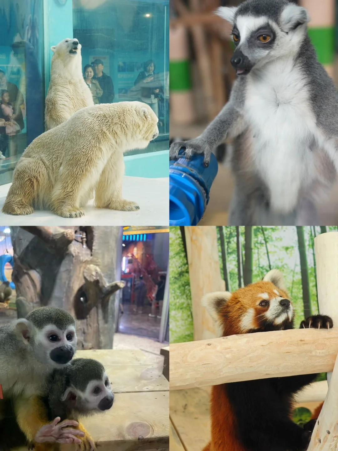 人均500💰哈尔滨3天2晚❄️自由行攻略（详细版