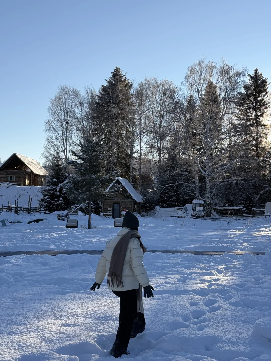 阿勒泰四天三晚旅行攻略 | 禾木&白哈巴☃️