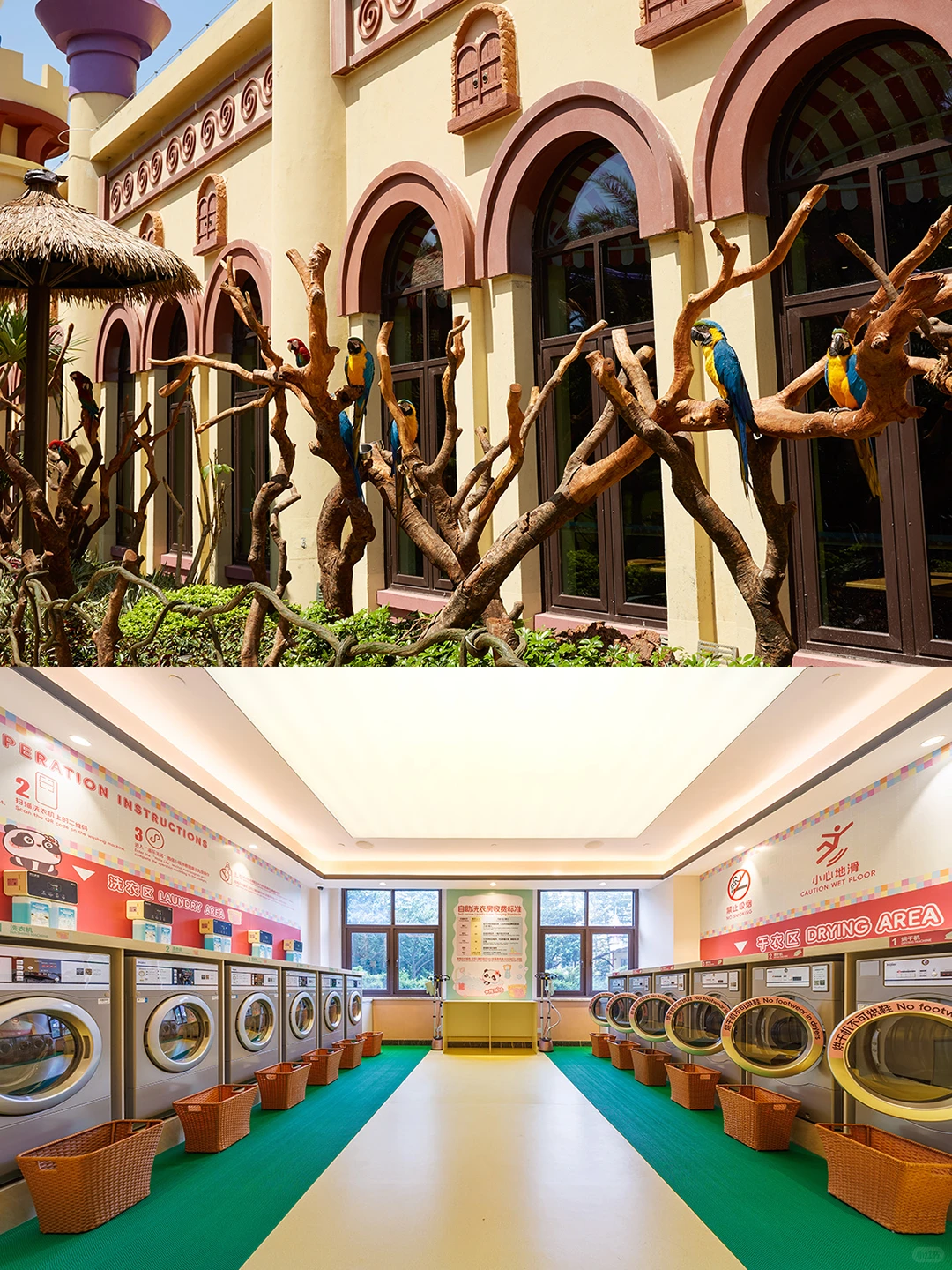 广州长隆住哪里?3家酒店真实测评+隐藏攻略