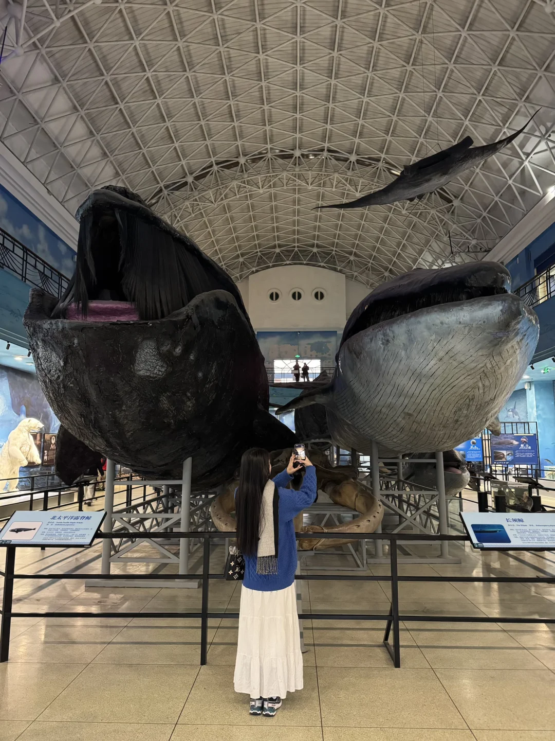 人生建议:冬天❄️一定要去一次大连!!!