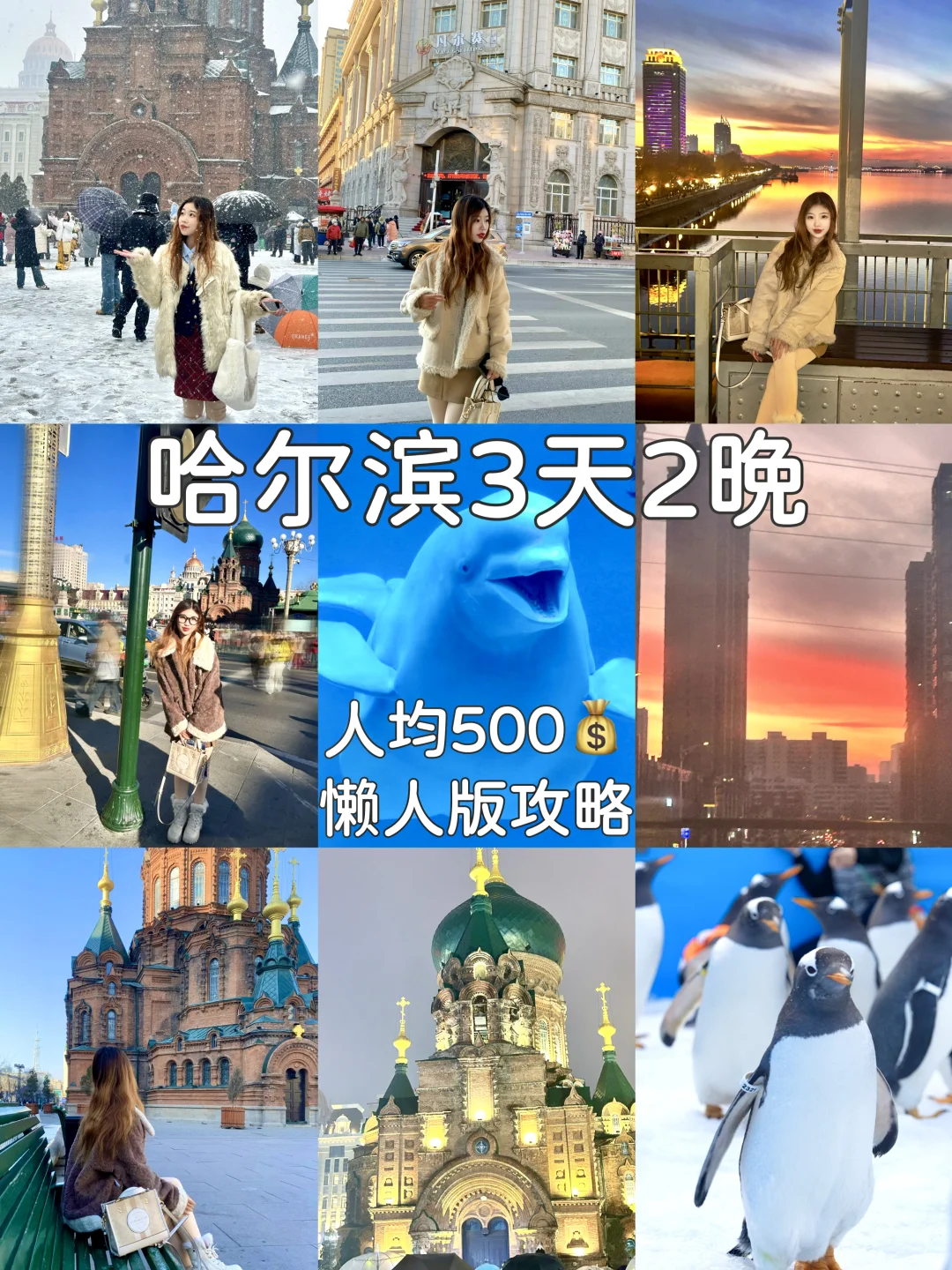 人均500💰哈尔滨3天2晚❄️自由行攻略（详细版