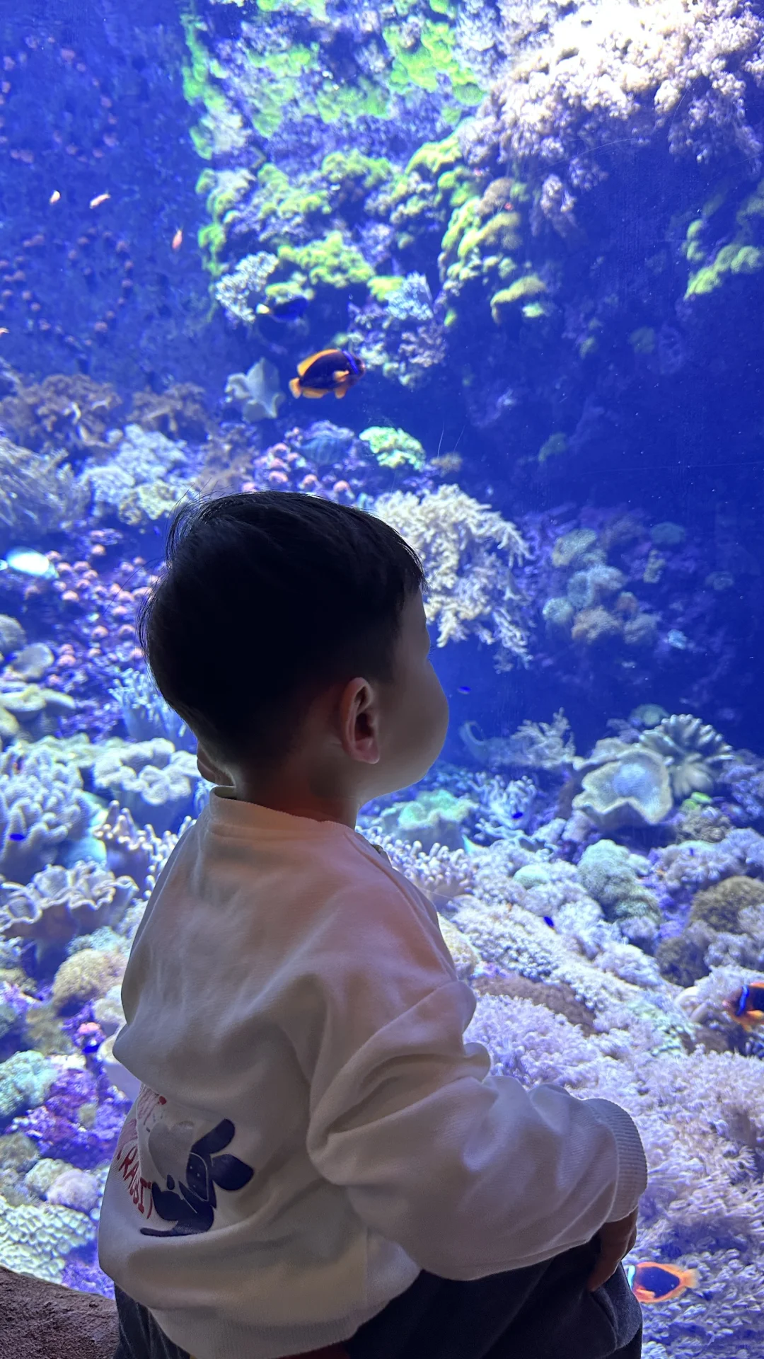 2岁娃长隆飞船乐园,随性游~