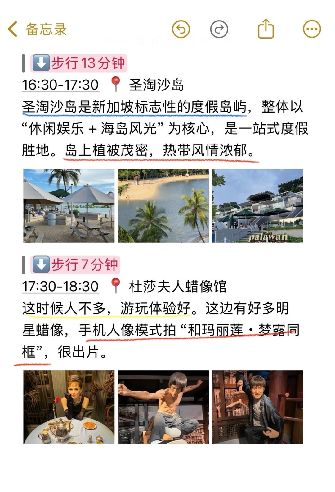 本J人对自己做的新加坡旅行攻略满意到睡