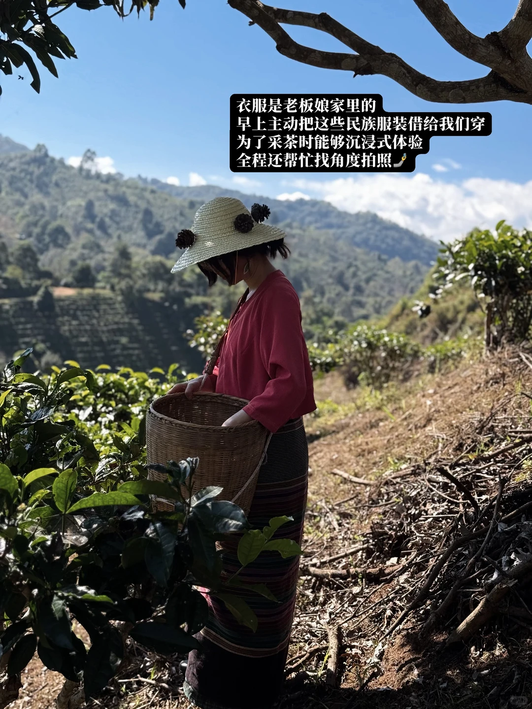 本地人带玩就是景迈山最好的体验方式