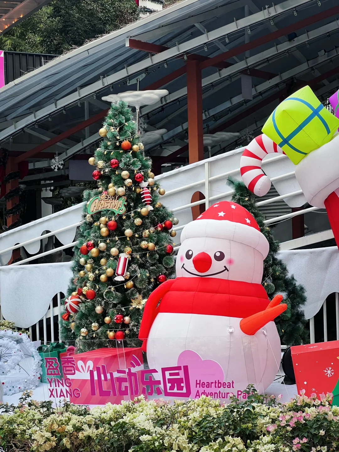 小胖兔来心动乐园啦！这也太有圣诞氛围了啊