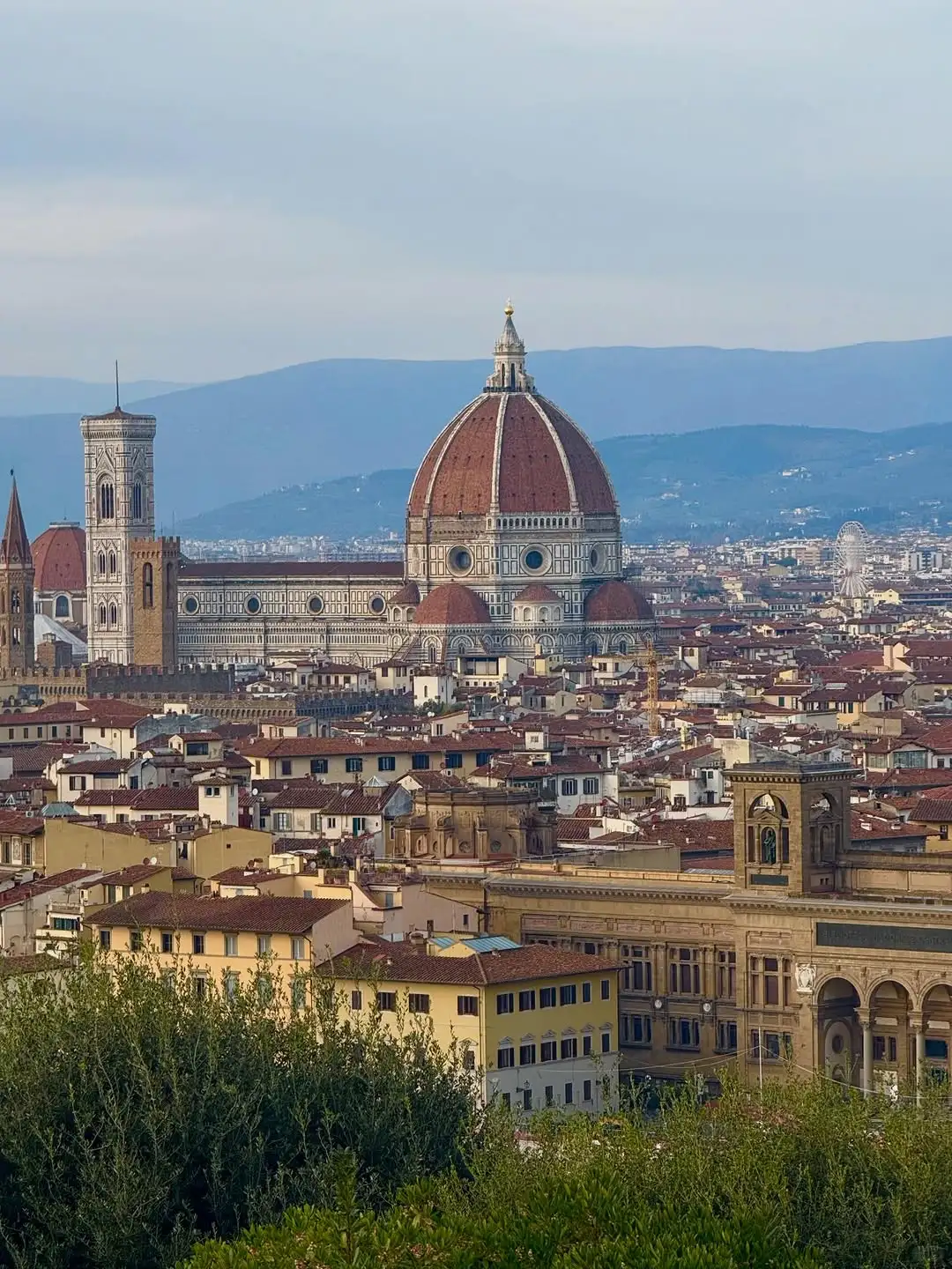 听xhs劝了,去法意瑞报了团后续(永不删)