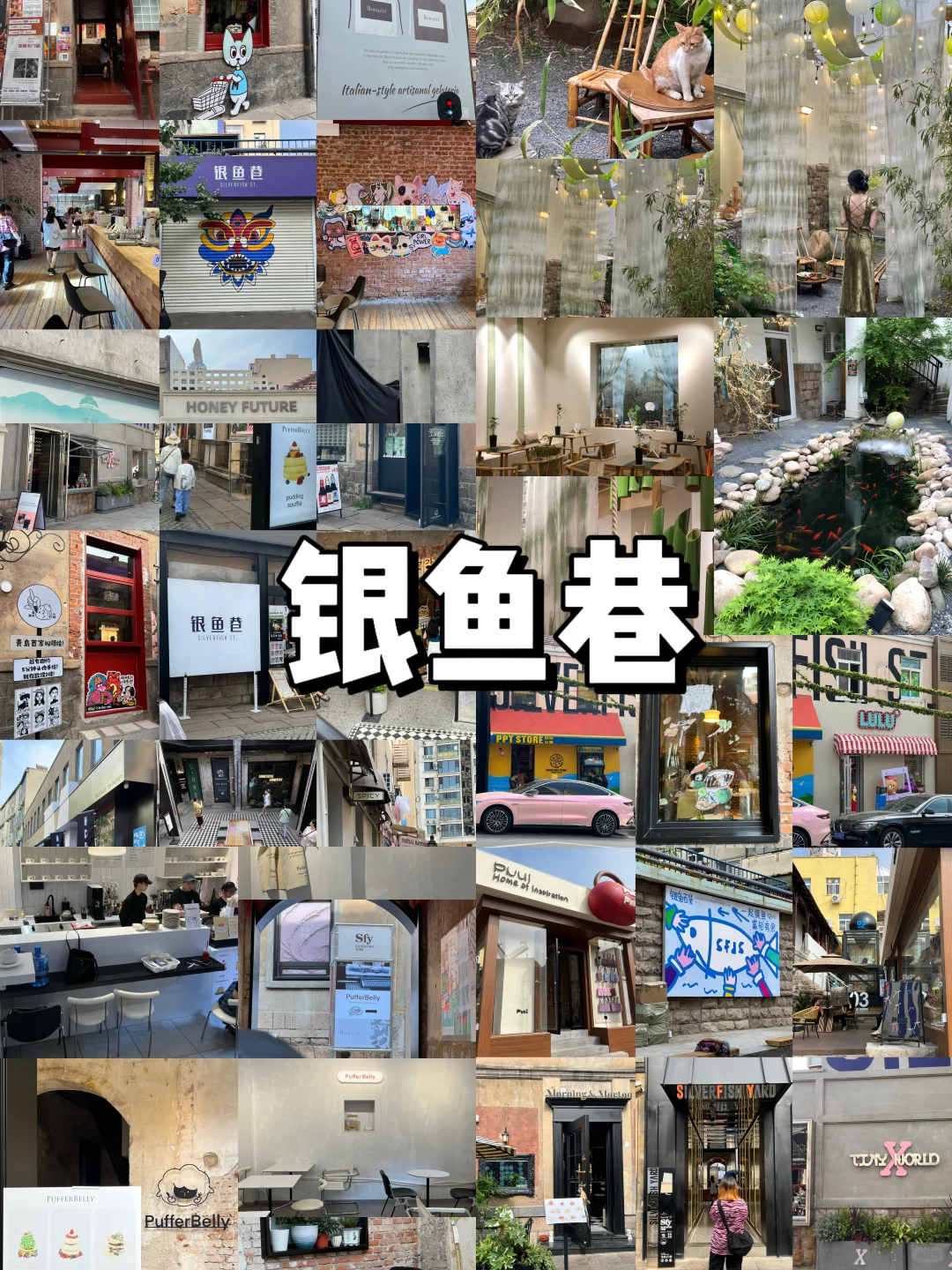 青岛citywalk🚶周末48h淡季反向旅游！！