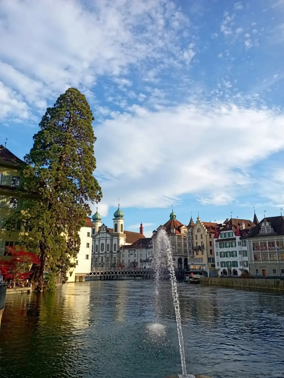 听xhs劝了,去法意瑞报了团后续(永不删)