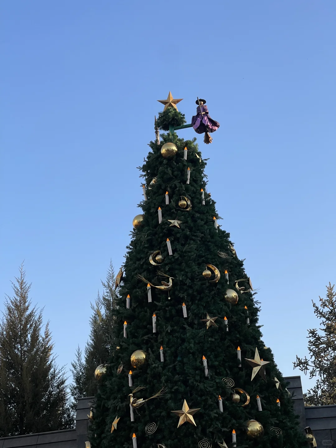 12.14北环新鲜最强玩后感