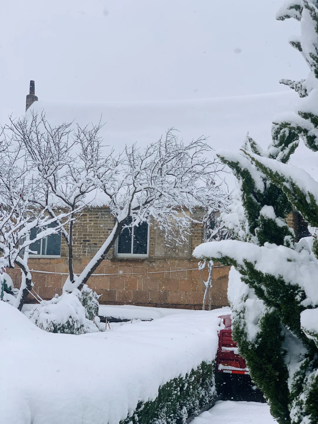 12.3威海实况，雪后的天鹅湖美得像童话❄️