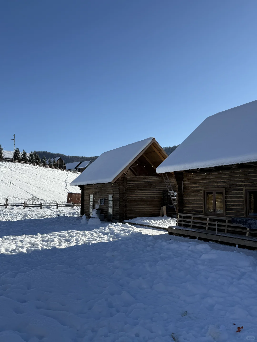 阿勒泰四天三晚旅行攻略 | 禾木&白哈巴☃️