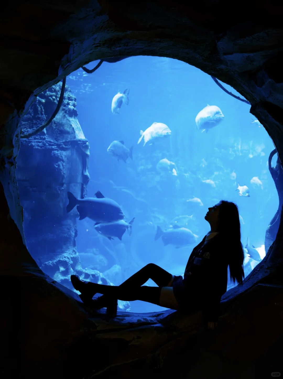 银基动物王国会惩罚每一个背包的人……