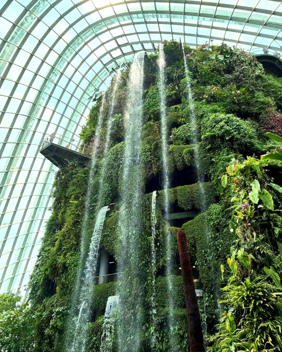 新加坡必玩景点大集合💖