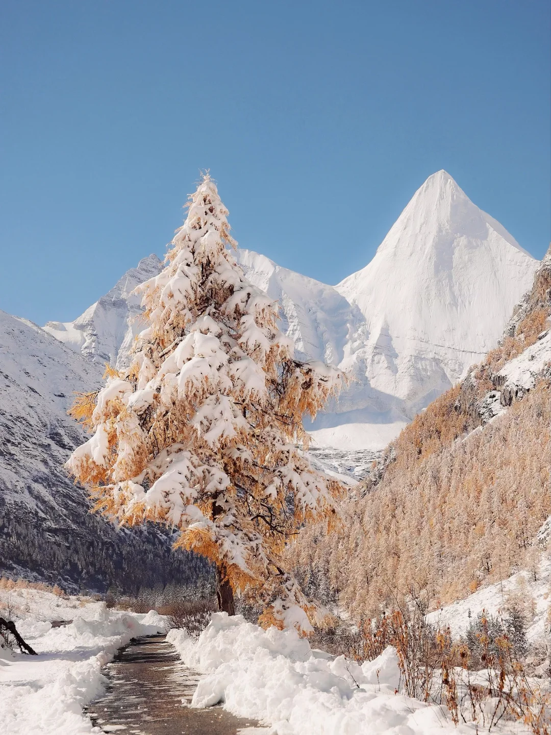 在稻城亚丁，看到了中国最壮丽的秋天和冬天