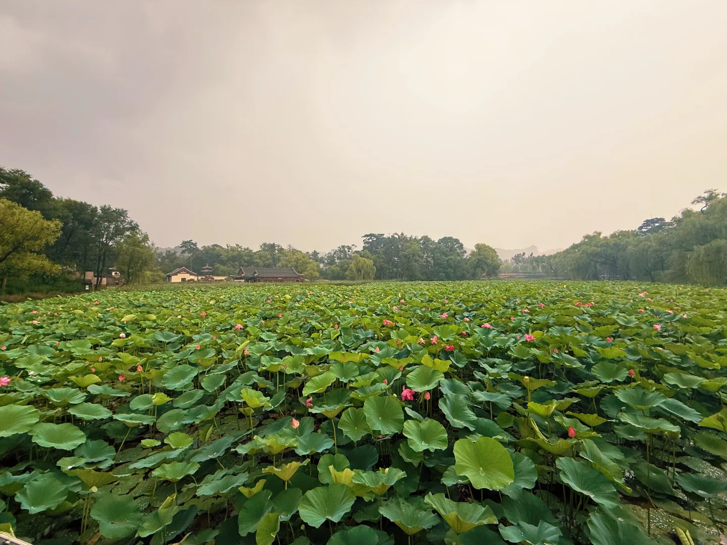 🌿 避暑山庄｜穿越300年，赴一场皇家避暑之约