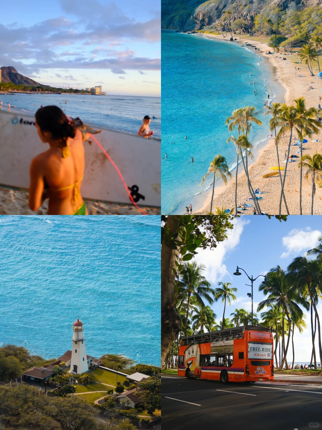 夏威夷旅游必打卡景点攻略🏴☠️看这篇够了