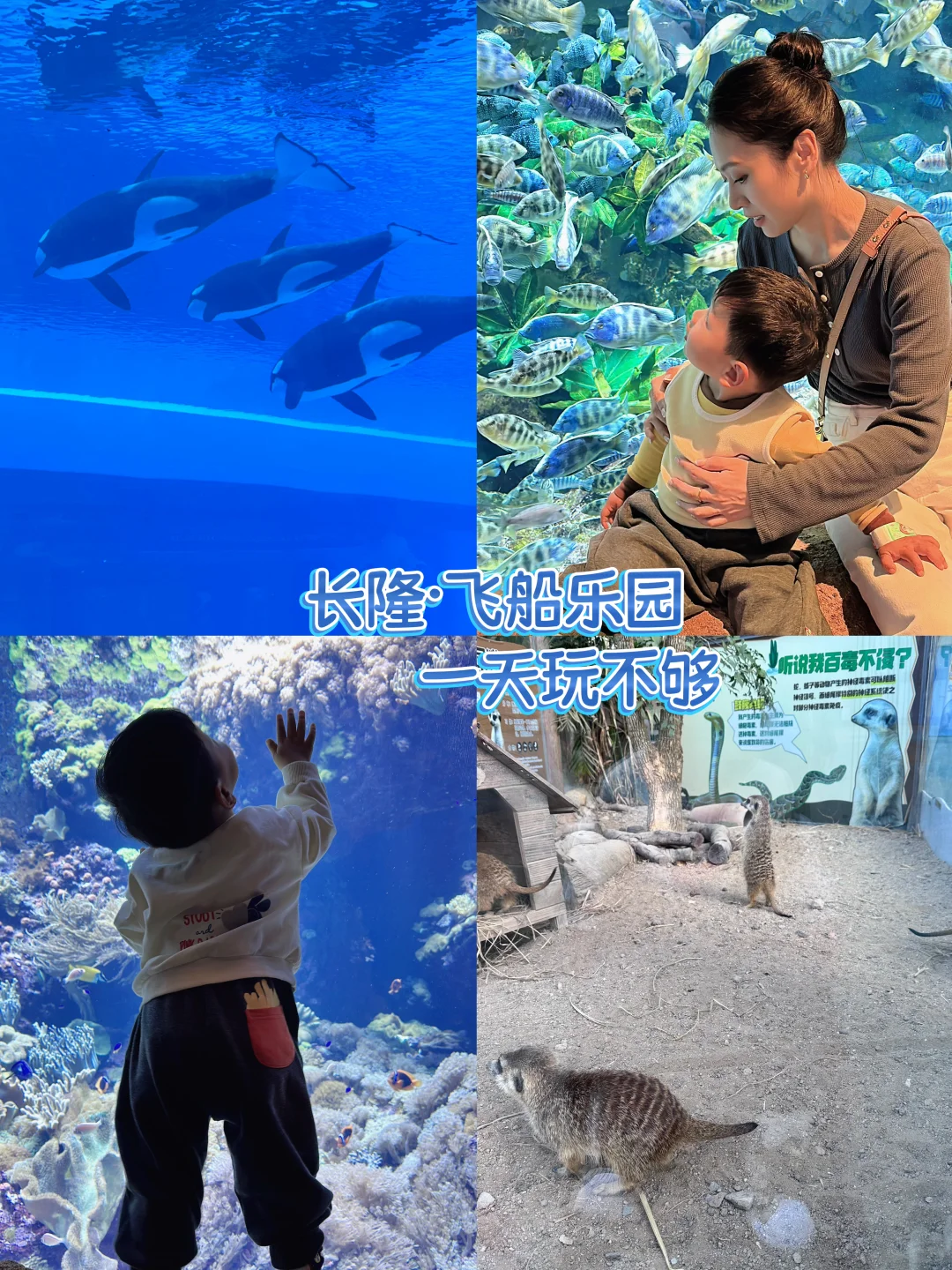 2岁娃长隆飞船乐园,随性游~