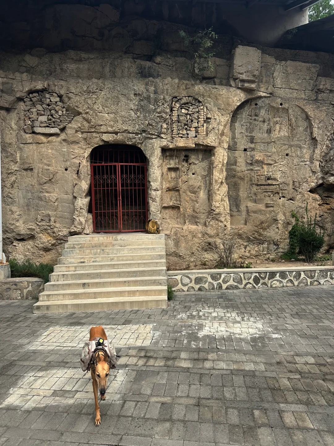 水浴寺 石窟造像 僧众礼佛图