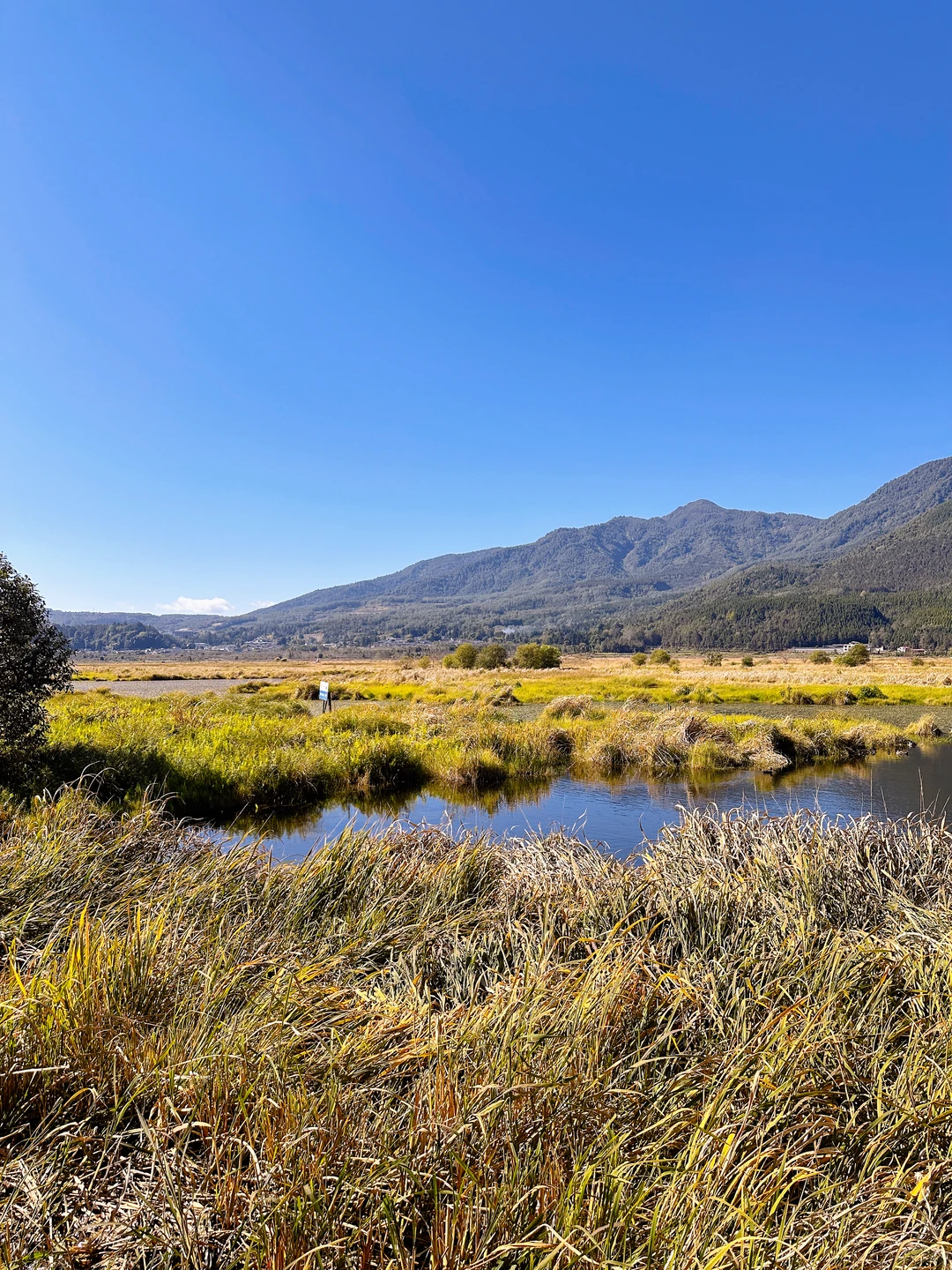 我们都喜欢玩不一样的地形 | 腾冲北海湿地