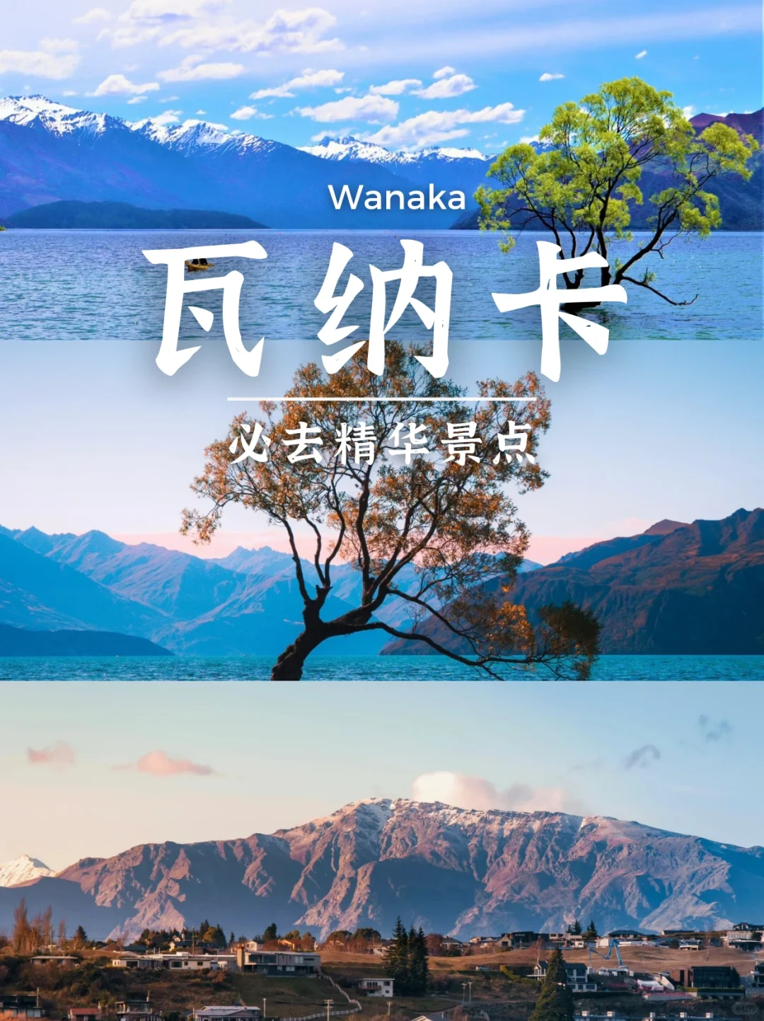 新西兰南岛8天保姆级攻略❗照着玩不绕路✨