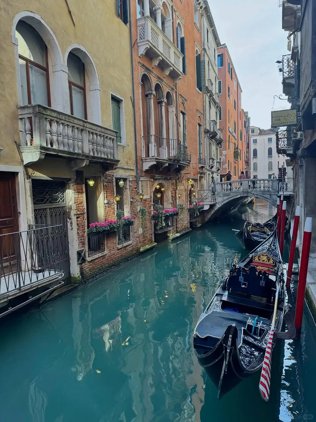 听xhs劝了,去法意瑞报了团后续(永不删)