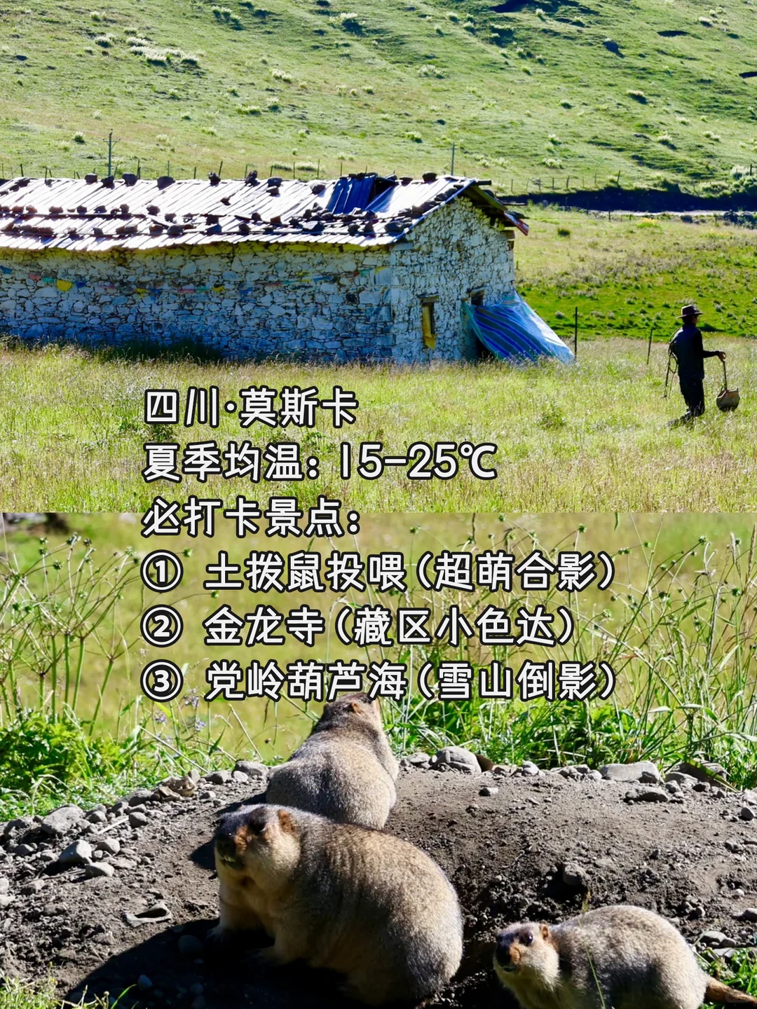 国内20℃的夏天！这8个冷门避暑地美到窒息