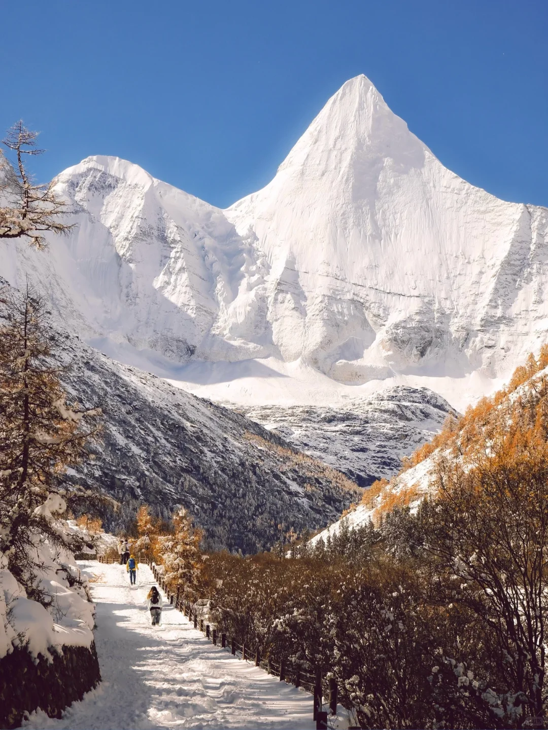 在稻城亚丁，看到了中国最壮丽的秋天和冬天