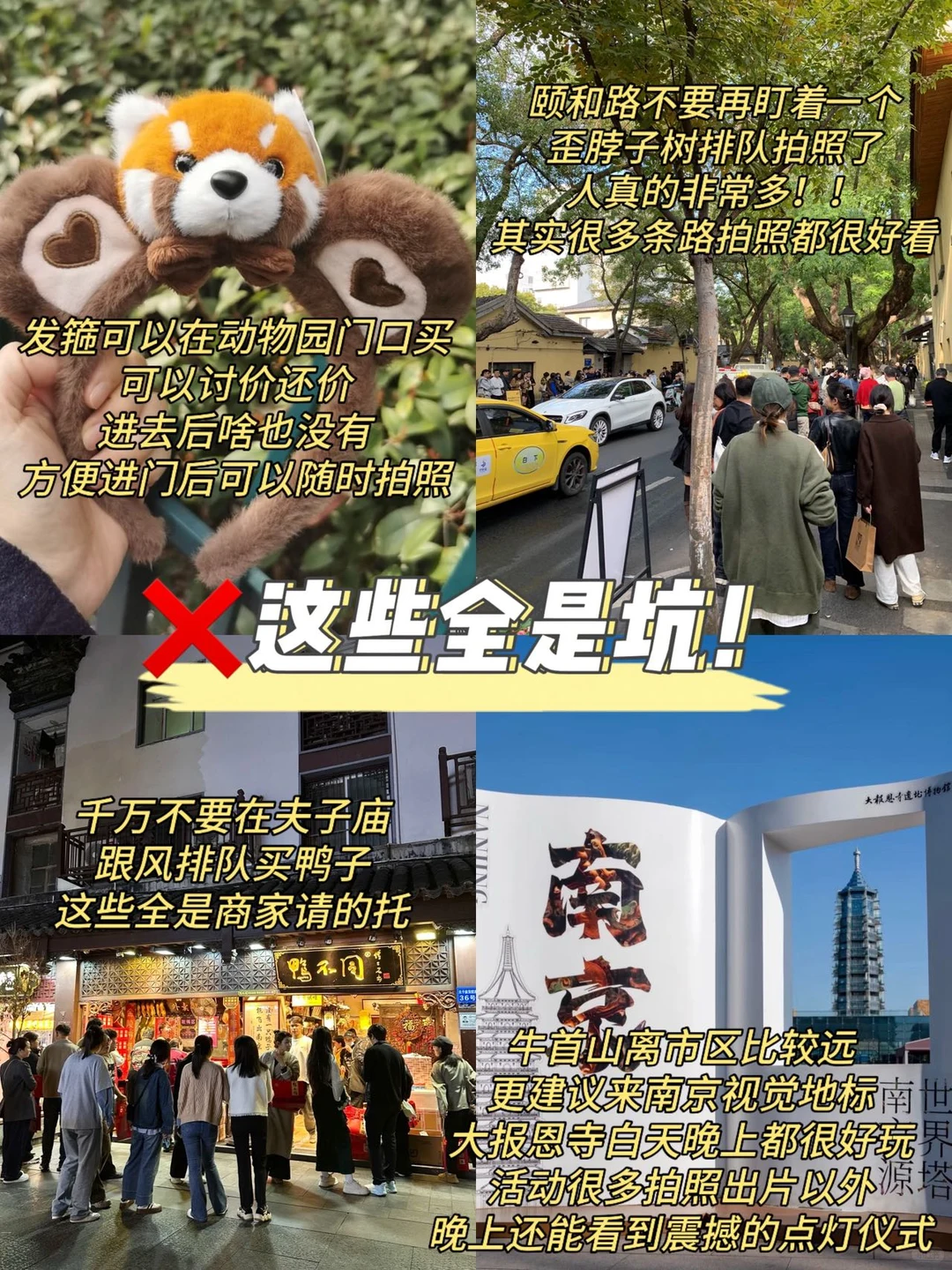 12-1月计划去南京的姐妹们听劝啊啊！