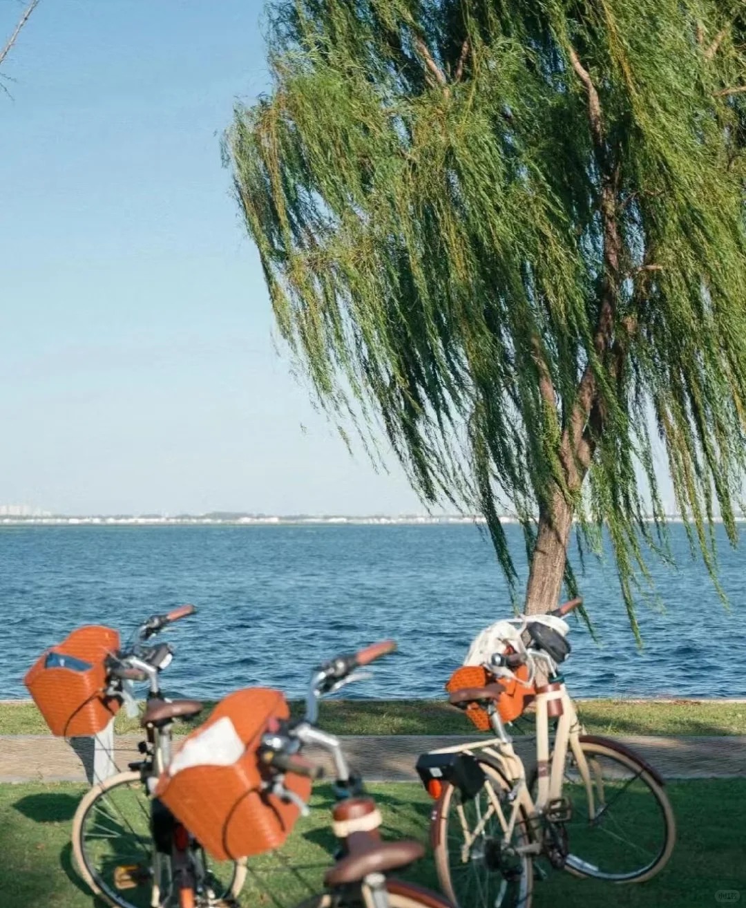 宜兴旅游避坑与必玩|我又到宜兴来玩啦